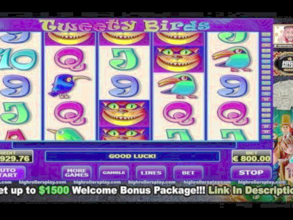 255 free spins casino at Vera and Jhon Casino