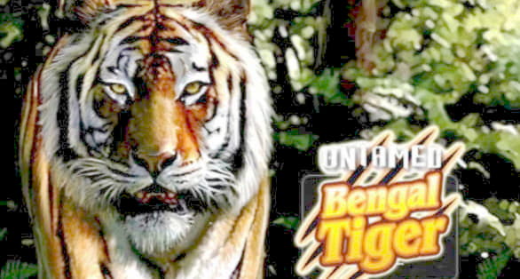 $375 FREE Chip Casino at Slots Million Casino