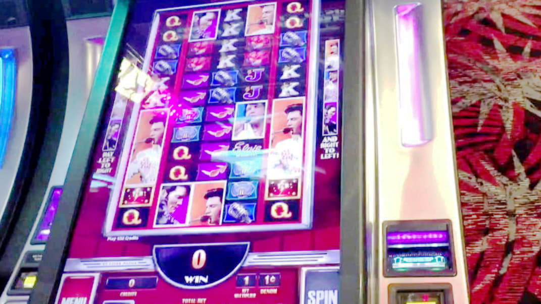 $2535 No deposit bonus casino at 7 Reels Casino