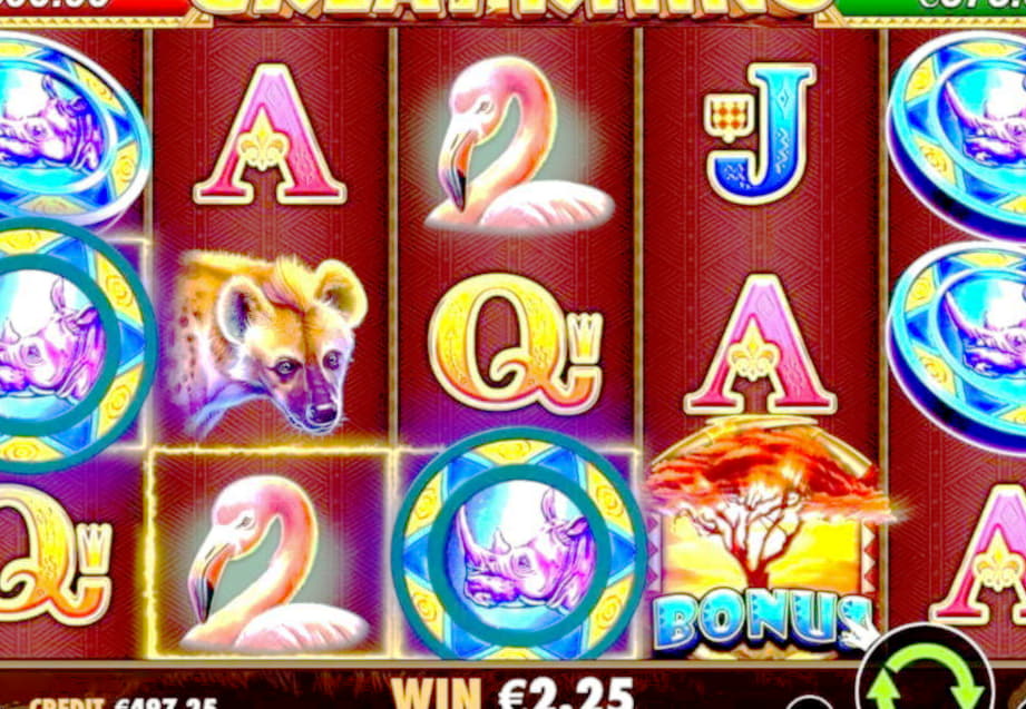 295% Deposit Match Bonus at Dunder Casino