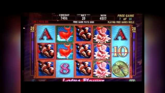 EURO 340 Free Casino Ticket at Online Bets Casino