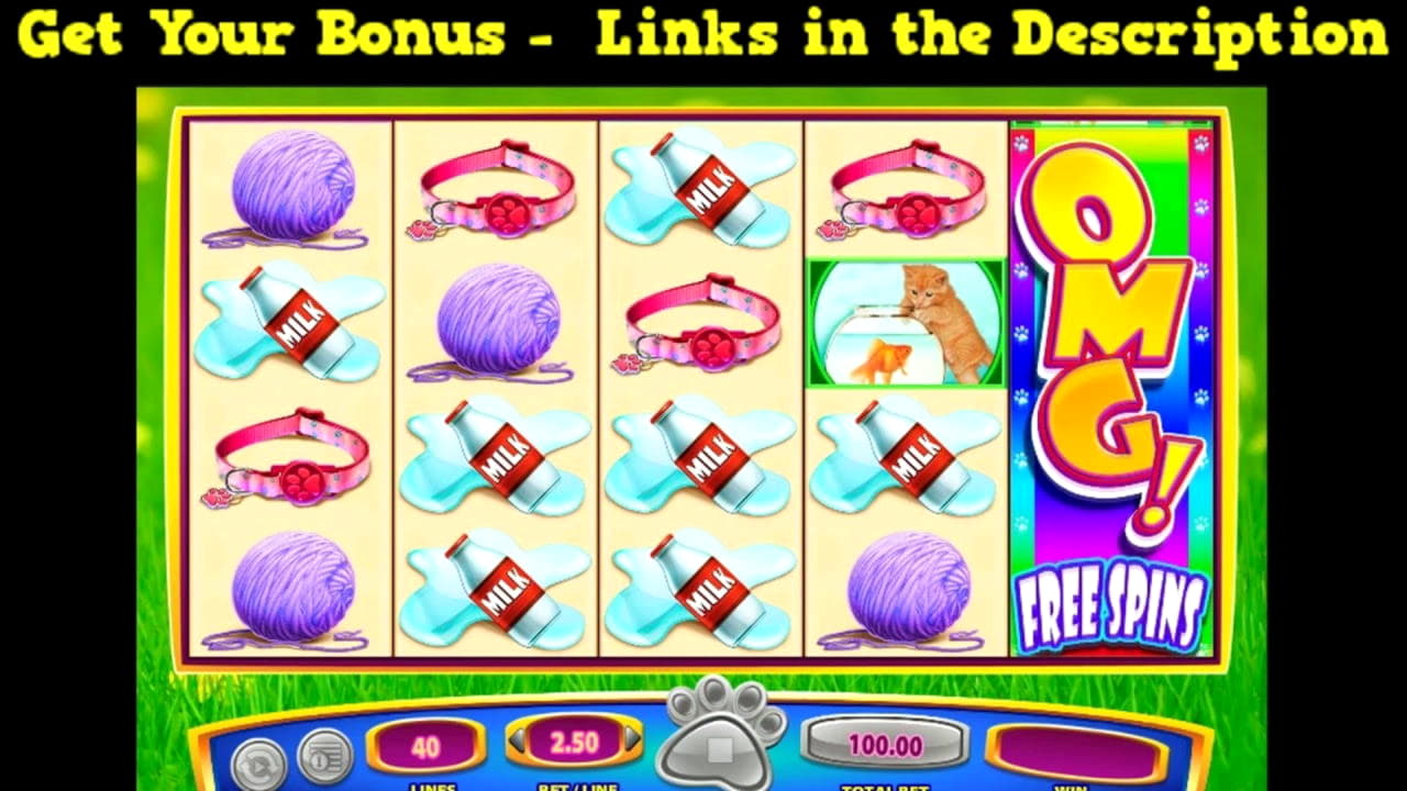 ﻿$110 Casino Tournament at Vera and Jhon Casino