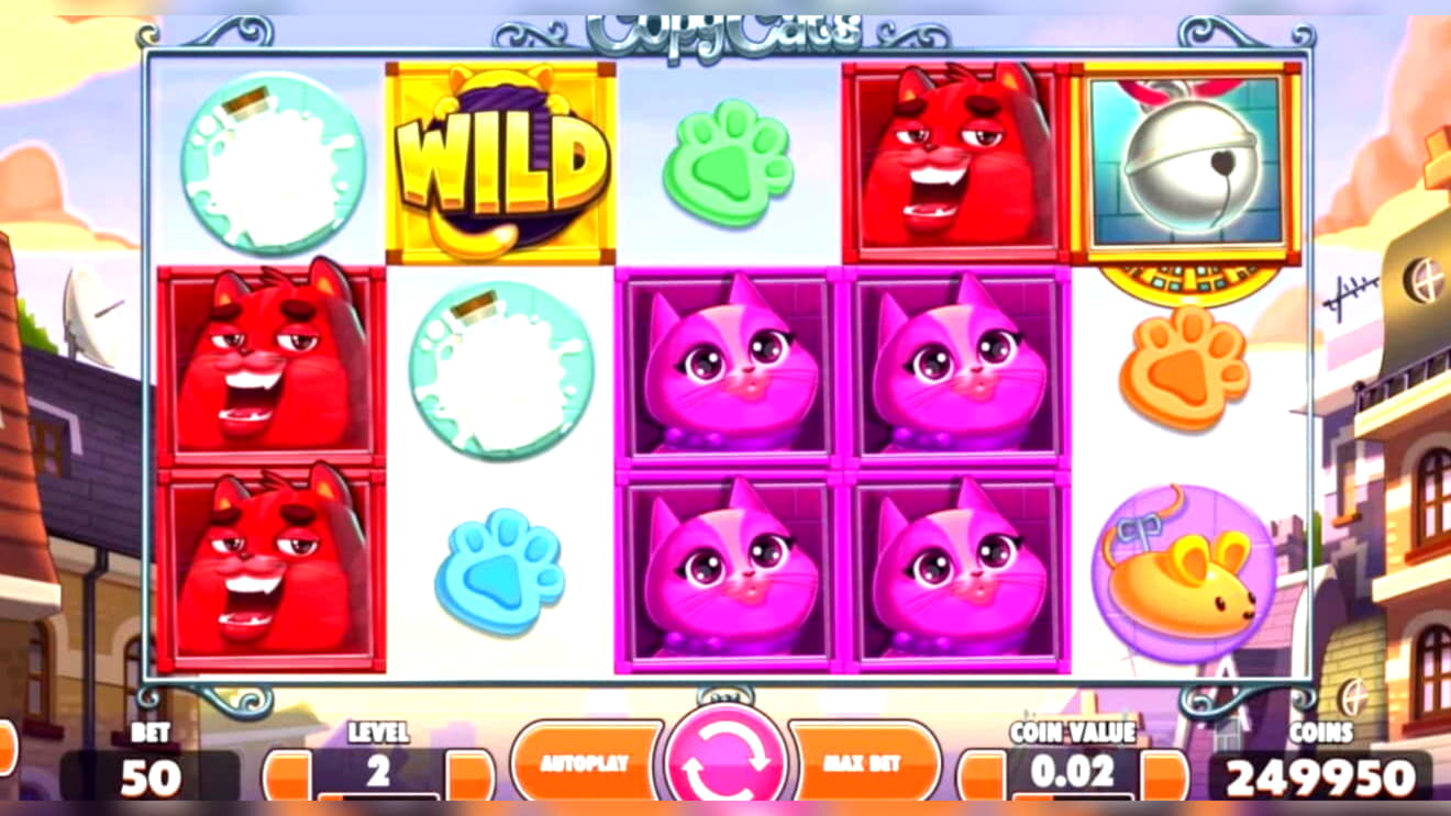 €505 Daily freeroll slot tournament at Licensed Casino 