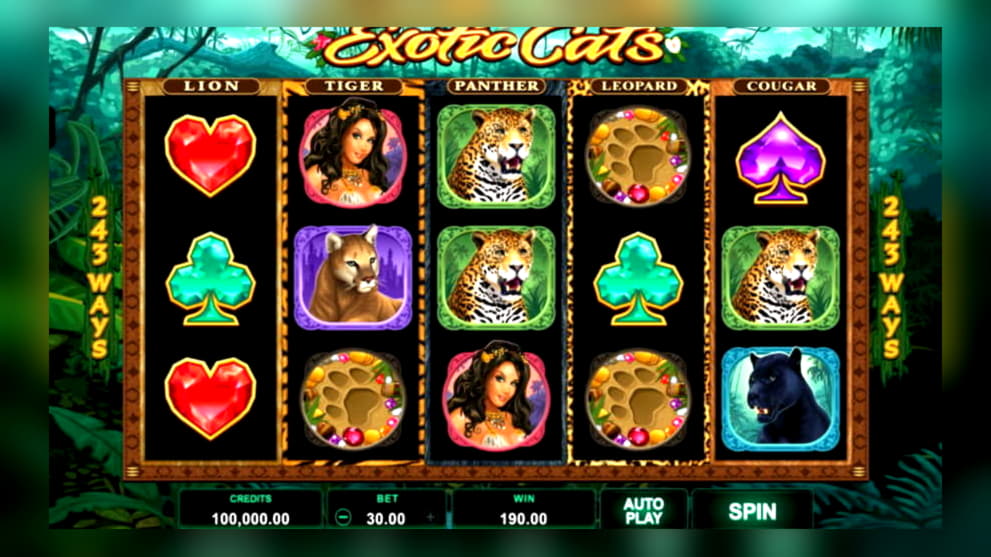 Eur 915 Casino Tournament at Leo Vegas Casino