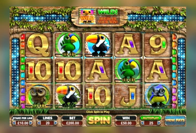 195% First Deposit Bonus at Dunder Casino