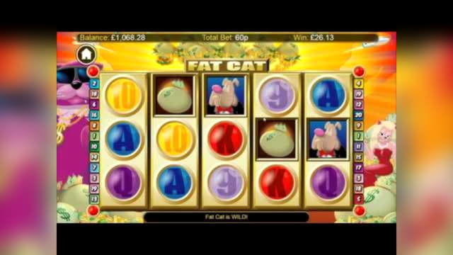 $130 Free Money at Hippozino Casino