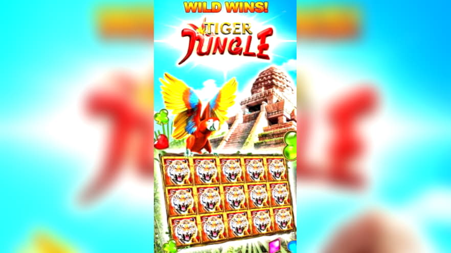 €635 Casino tournaments freeroll at bWin Casino