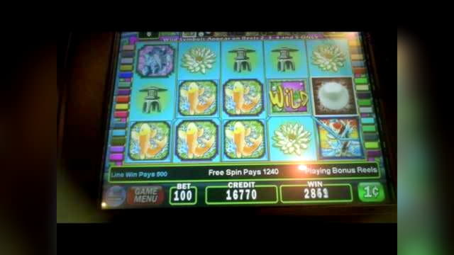 290 free spins no deposit at Betway Casino
