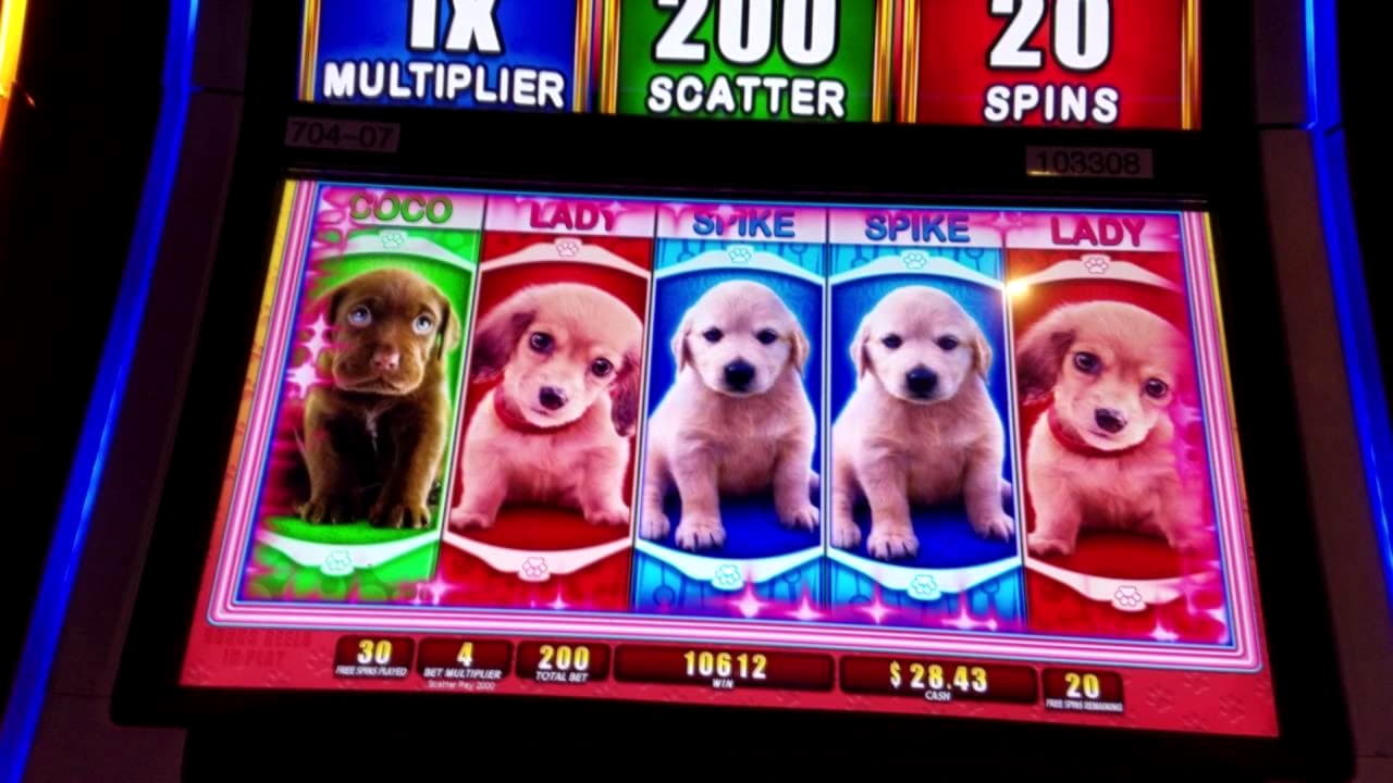 EURO 340 Casino Chip at Vera and Jhon Casino