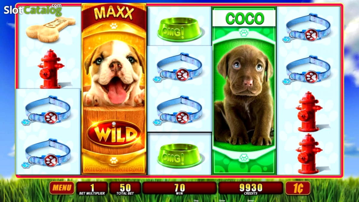 285% Match at a Casino at Rizk Casino