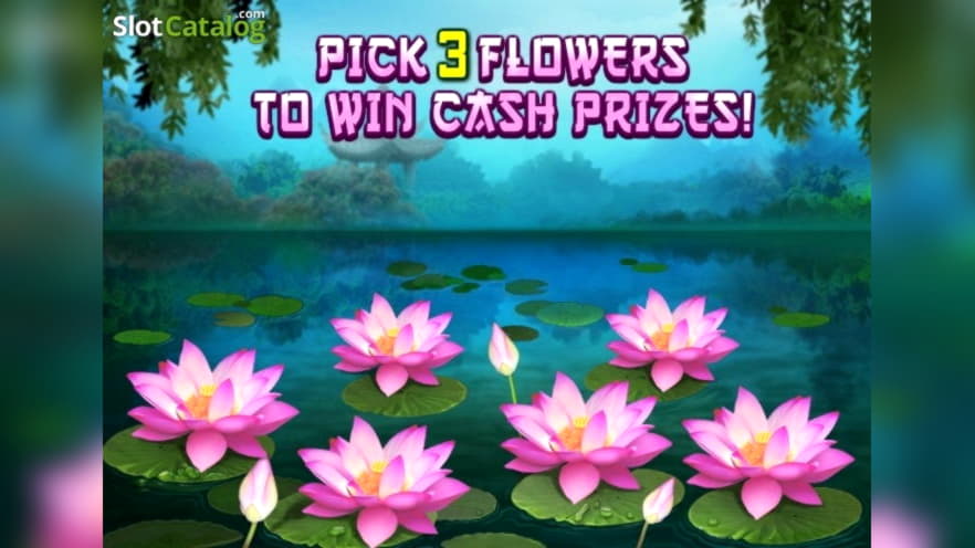 £945 no deposit at Alf Casino