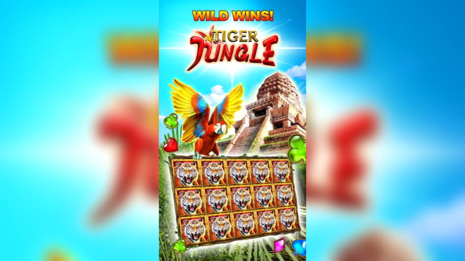 40 Free Spins right now at Casino Cruise