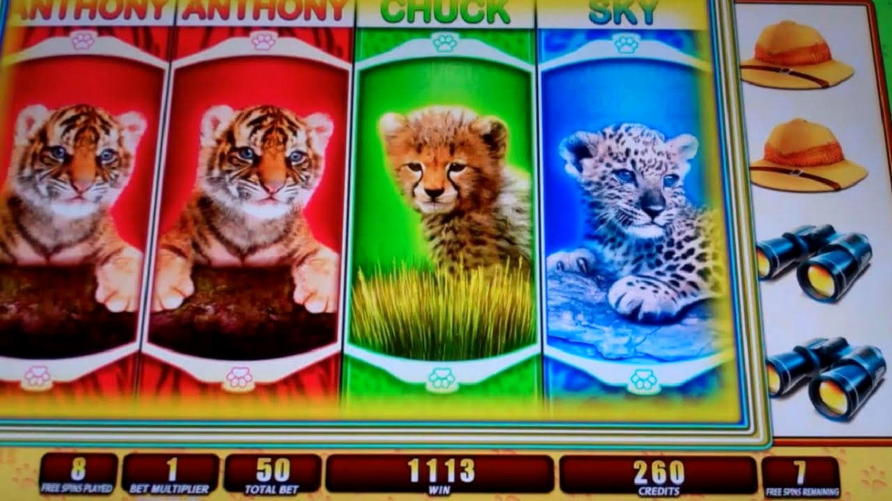 310% Match Bonus Casino at Energy Casino