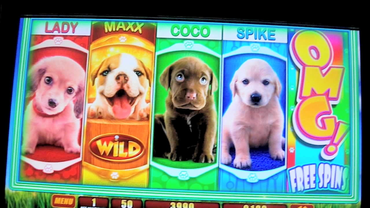 815% Deposit Match Bonus at BGO Casino