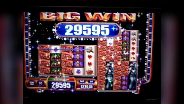 €2430 No deposit bonus code at Leo Vegas Casino
