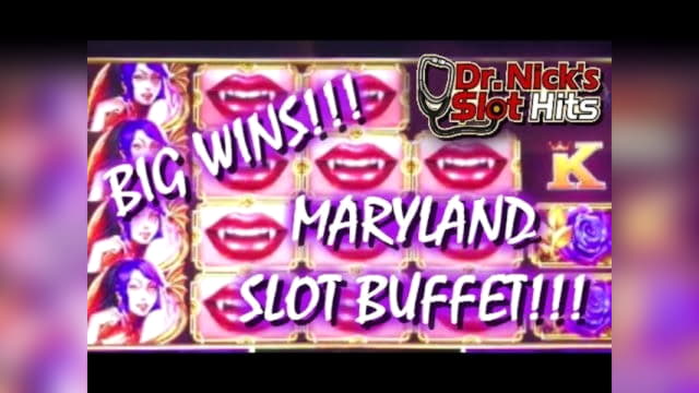 €1885 No deposit bonus code at Hippozino Casino