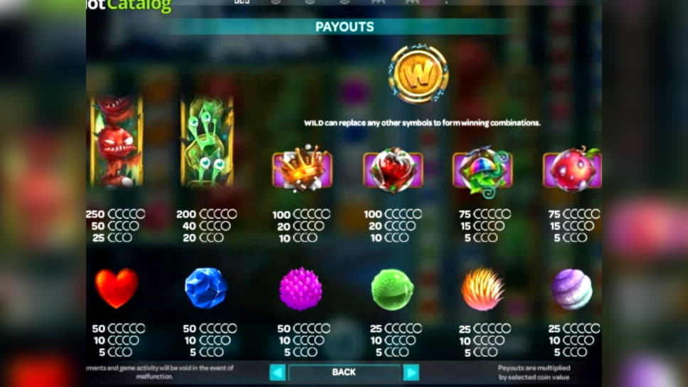 EURO 535 Casino Tournament at Hippozino Casino
