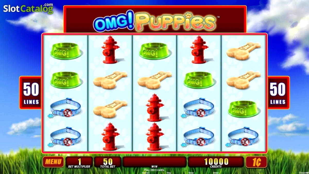 215 Free Spins right now at Online Bets Casino