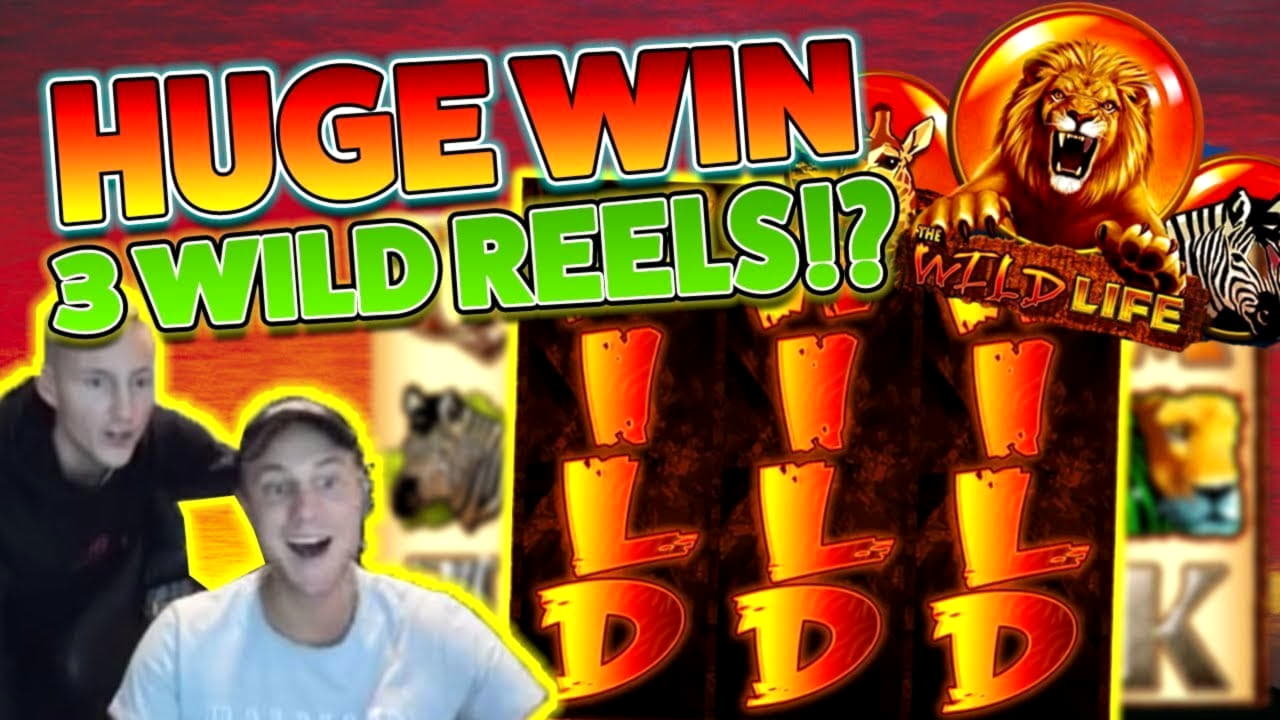 795% Match at a Casino at Eurogrand Casino