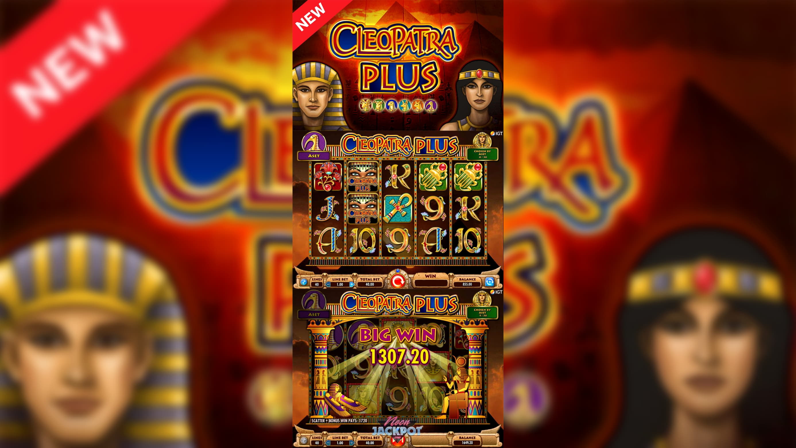 $125 Daily freeroll slot tournament at Casino com
