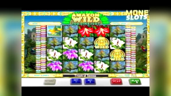 300 Loyal Free Spins! at 7 Reels Casino