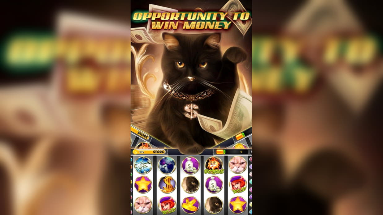 255 free spins at 7 Reels Casino