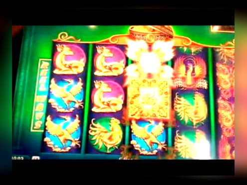 255 free spins no deposit at Spin Palace Casino