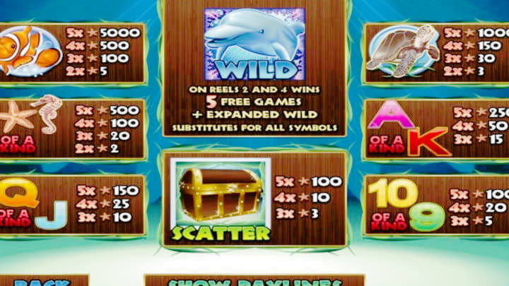 $222 Tournament at Betnspin Casino