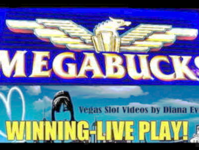 645% Match bonus at Hippozino Casino