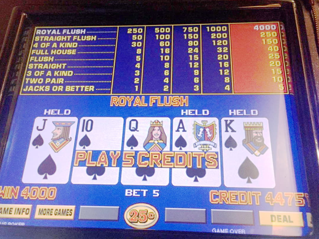 EURO 570 Free casino chip at bWin Casino