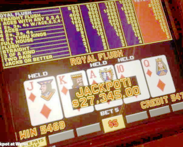 260 free spins no deposit casino at Hippozino Casino