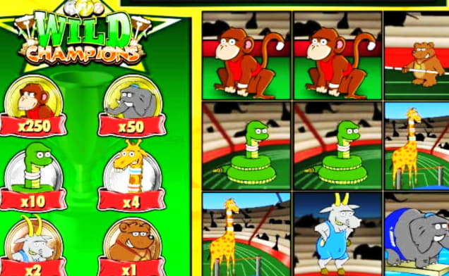 EURO 365 FREE CHIP CASINO at Hippozino Casino