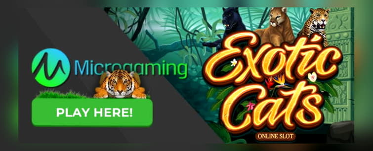 $655 Free Casino Tournament at Licensed Casino 
