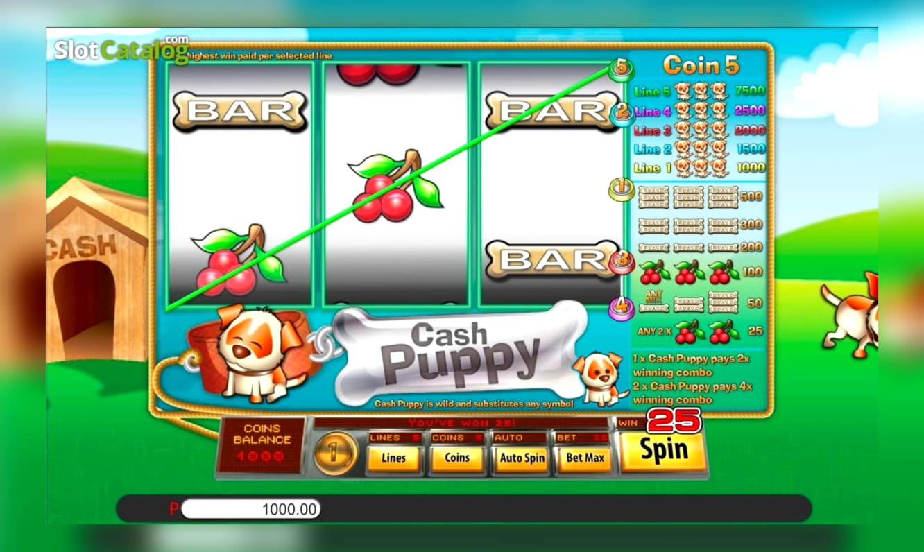 200 Loyal Free Spins! at Vera and Jhon Casino