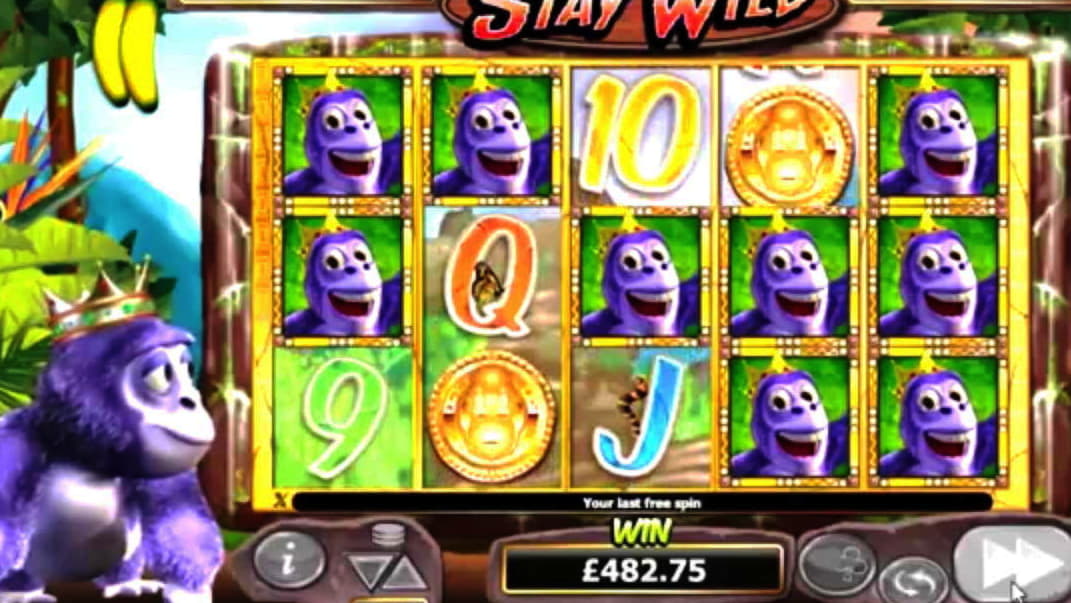 €390 Casino Tournament at 7 Reels Casino