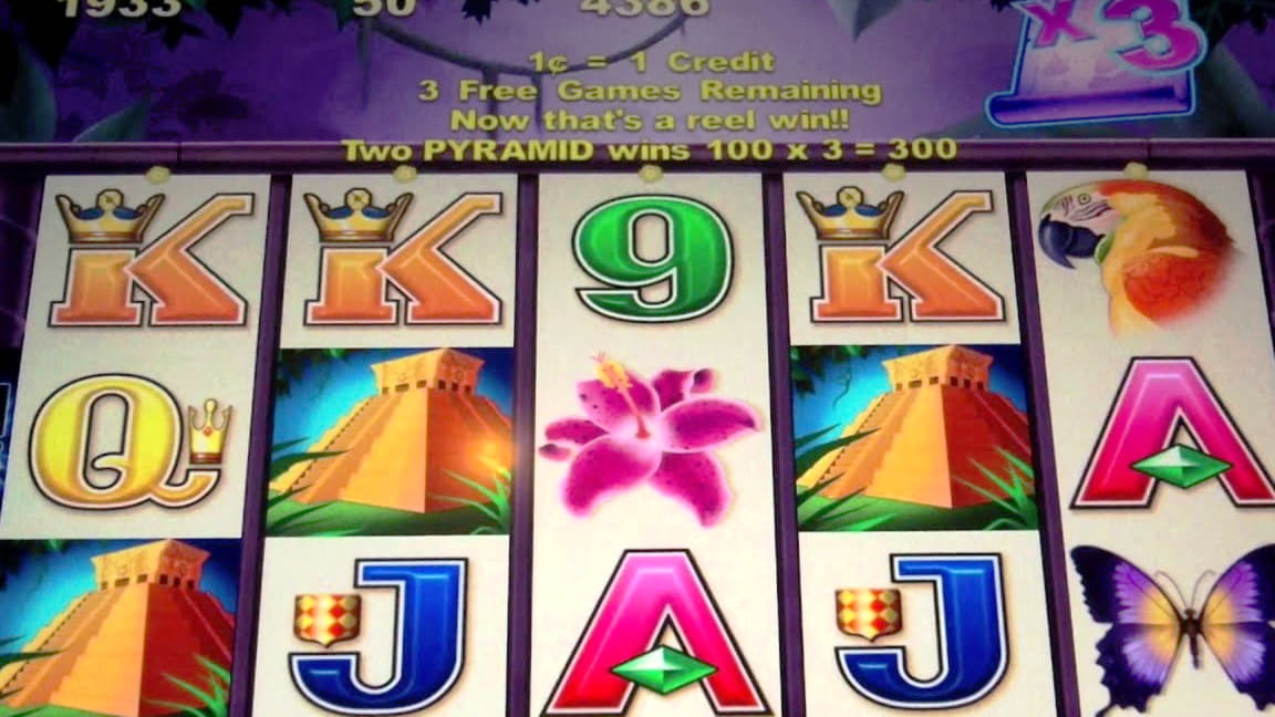 855% First Deposit Bonus at Hippozino Casino