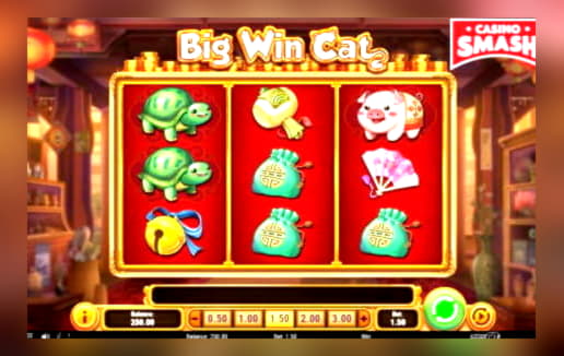 265% Match bonus at Hippozino Casino