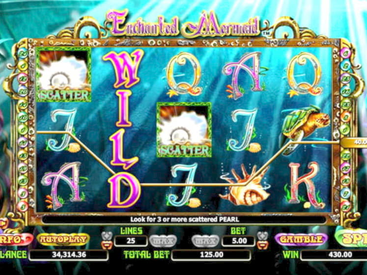 290 free casino spins at Hippozino Casino