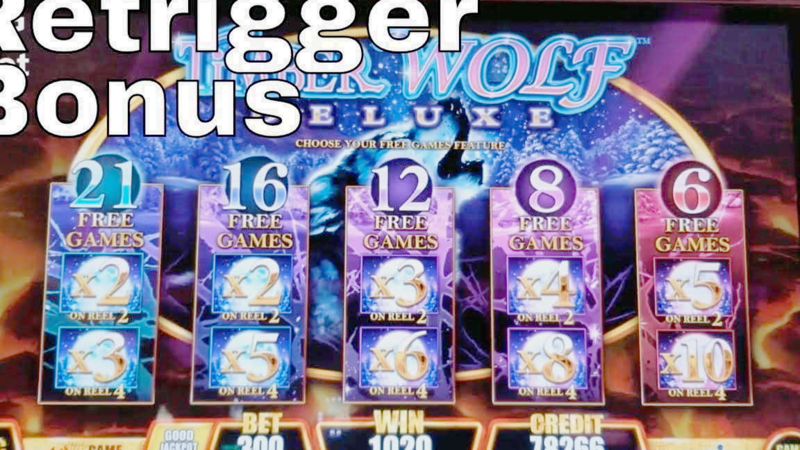 $175 Daily freeroll slot tournament at 7 Reels Casino