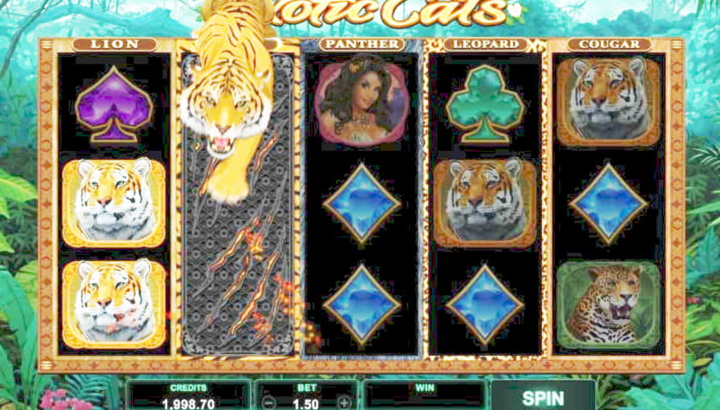 ﻿$225 Free chip casino at Inter Casino