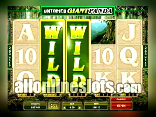 €700 Tournament at BGO Casino