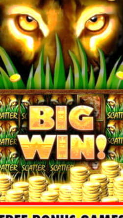 515% Deposit Match Bonus at Alf Casino