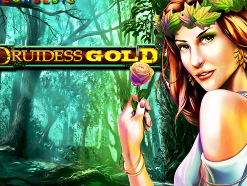 85 free spins casino at Rizk Casino