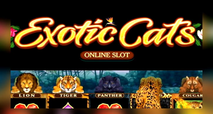 535% Match at a Casino at 888 Casino