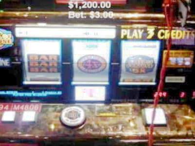 55 Free spins no deposit at Casino Cruise