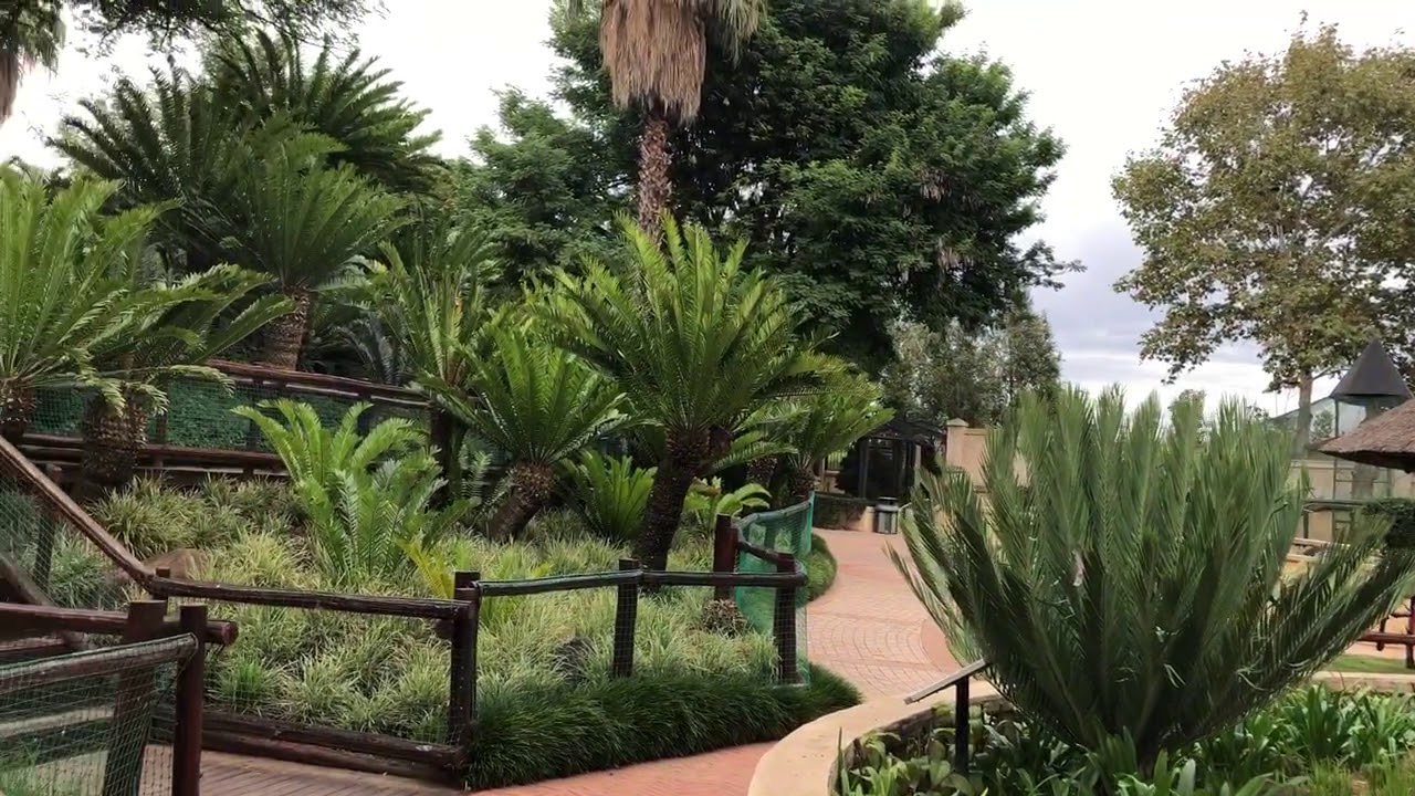 MONTE South African Casino BIRD GARDENS, SOUTH AFRICA 2019