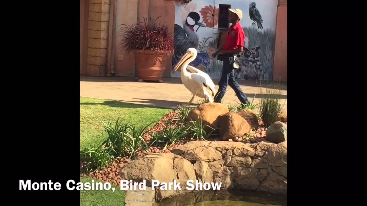 Monte Online Casino South Africa Johannesburg South Africa