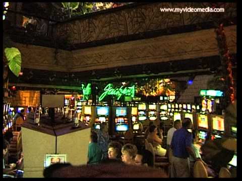 Sun City, The Online Casinos South Africa – South Africa Travel Channel