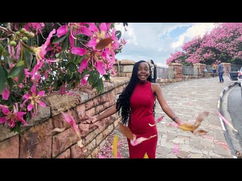 Vlog/Weekends in South Africa/Gautrain and Montanecasino