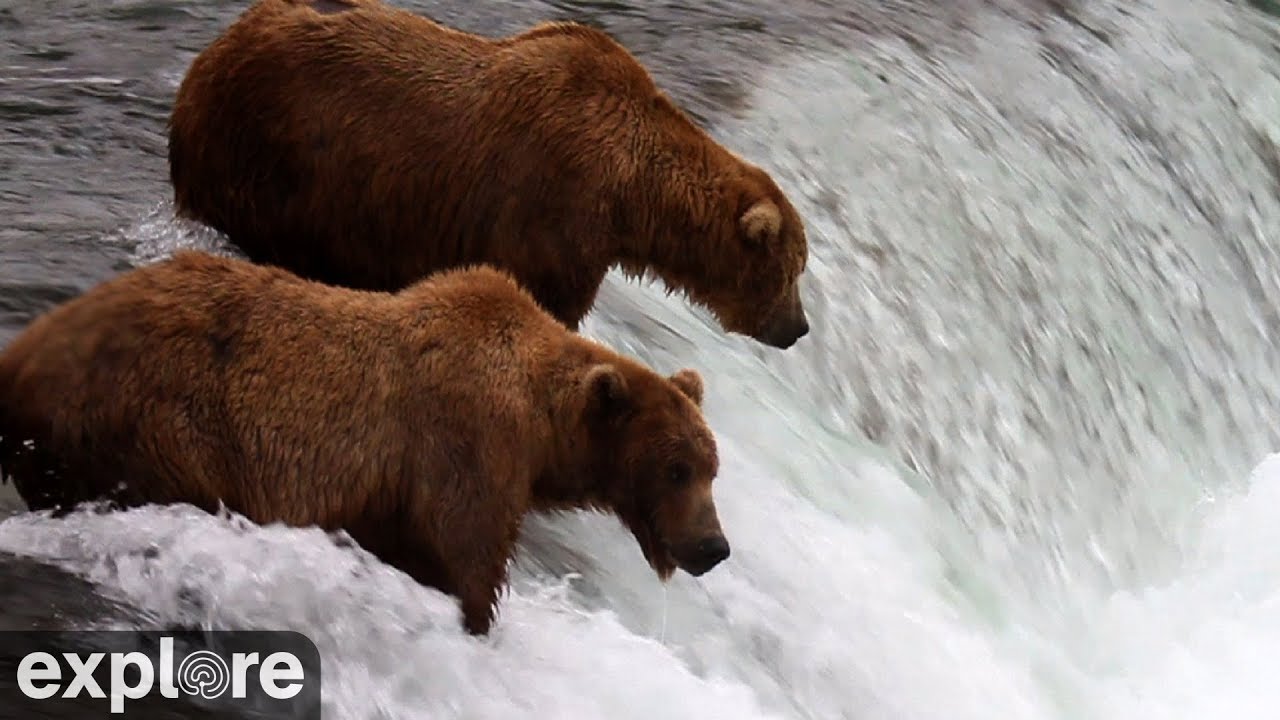 Brooks Falls – Katmai National Park, Alaska powered by EXPLORE.org